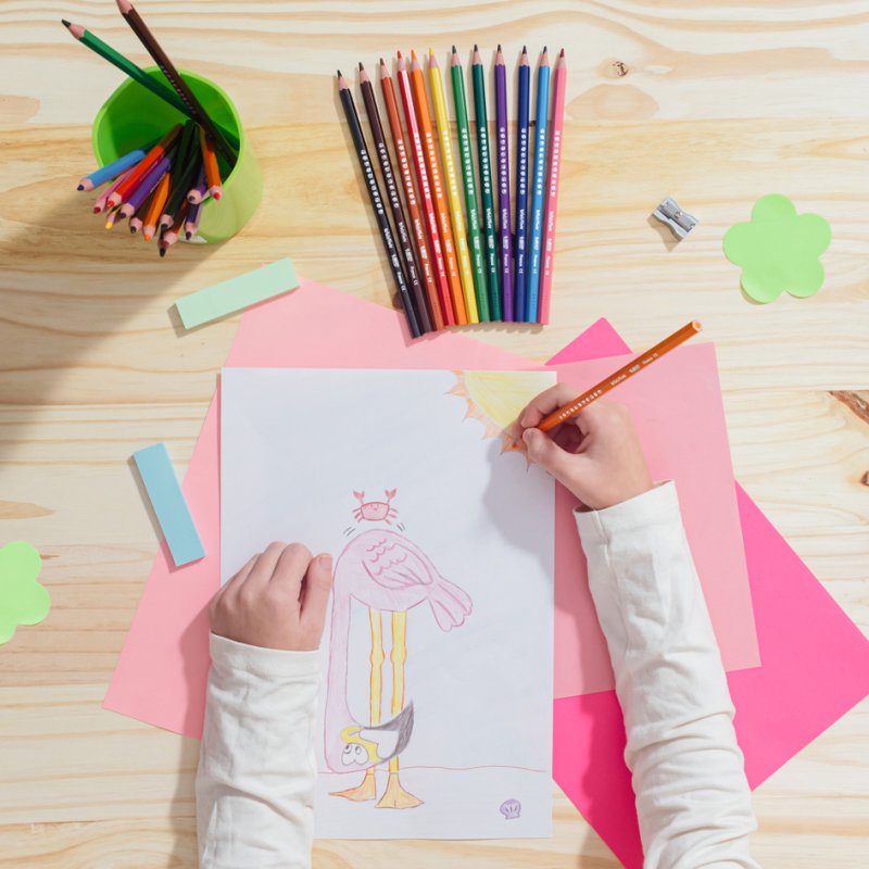 Bic KIDS kleurpotloden Evolution, kartonnen etui, 24 stuks